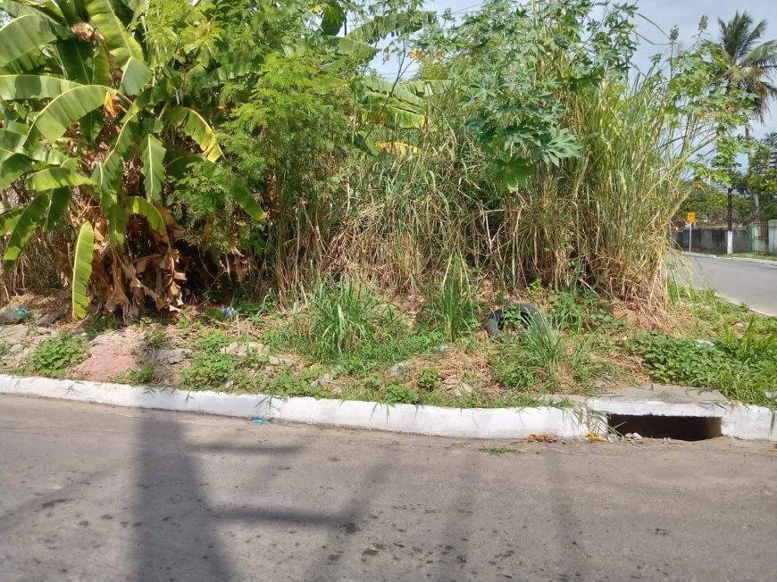Terreno de esquina