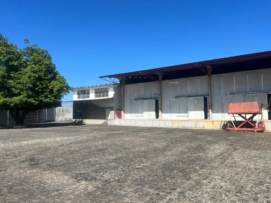 "Mega Imóvel na BR com 11 Câmaras Frigoríficas e Estrutura de 10.000m²: Oportunidade Única!"