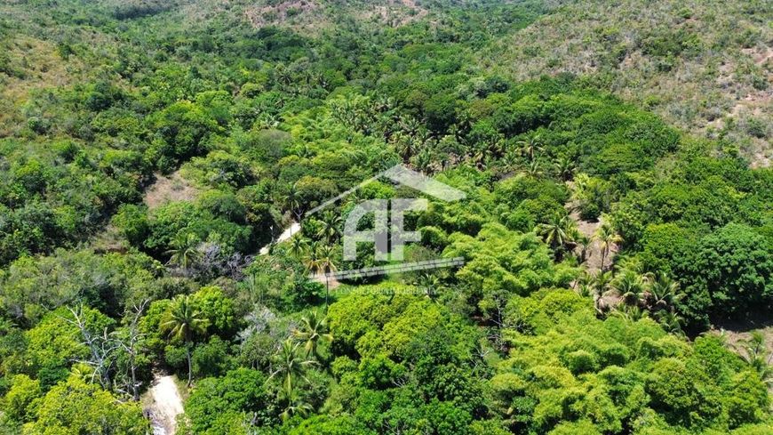 Belíssima chácara completa com 8ha, excelente casa sede e produção de coco e macaxeira