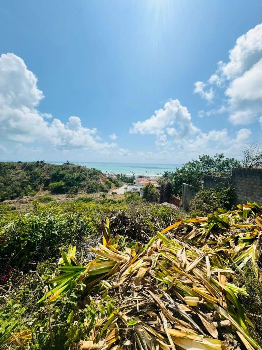 vendo 2 lotes no alto de jacarecica medindo 792m² (cada) - Maceió - AL