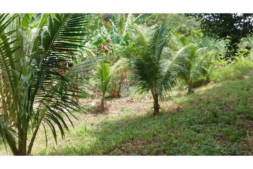 Chácara à venda na Serraria - Oportunidade Única!