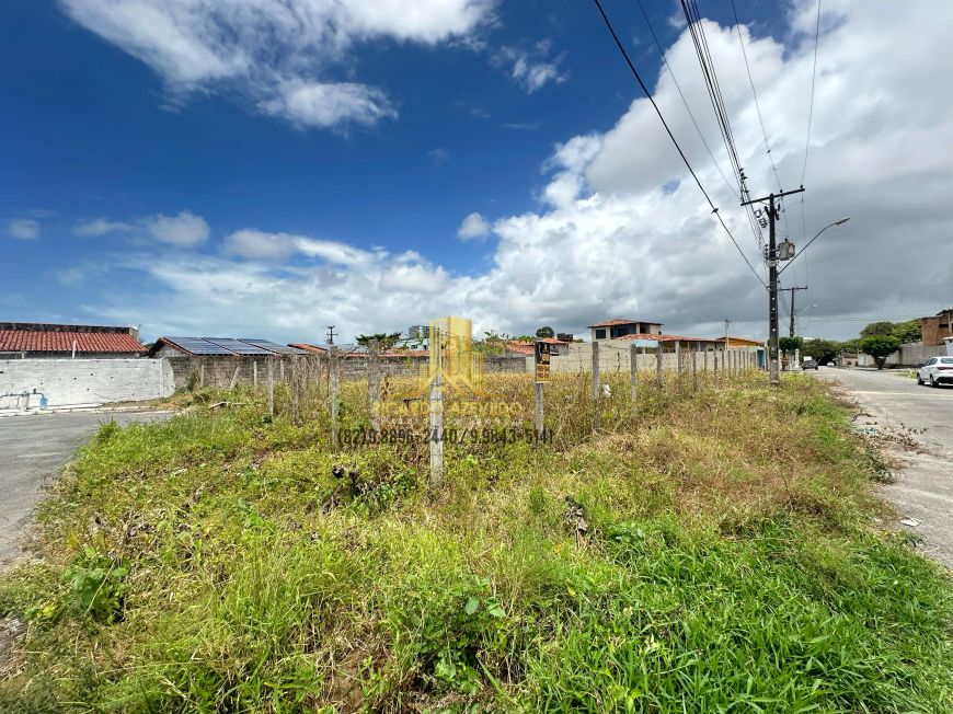 Terrenos a venda no Feitosa, 338m², cada