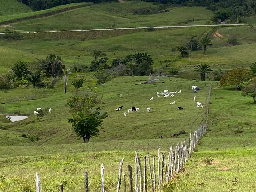 Excelente Fazenda, próximo a Usina Cachoeira do Meirim