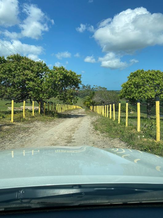 Excelente Fazenda, próximo a Usina Cachoeira do Meirim