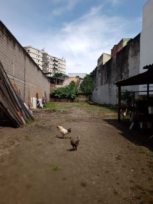 Lote/Terreno para venda com 720 metros quadrados em Braz de Pina - Rio de Janeiro - RJ