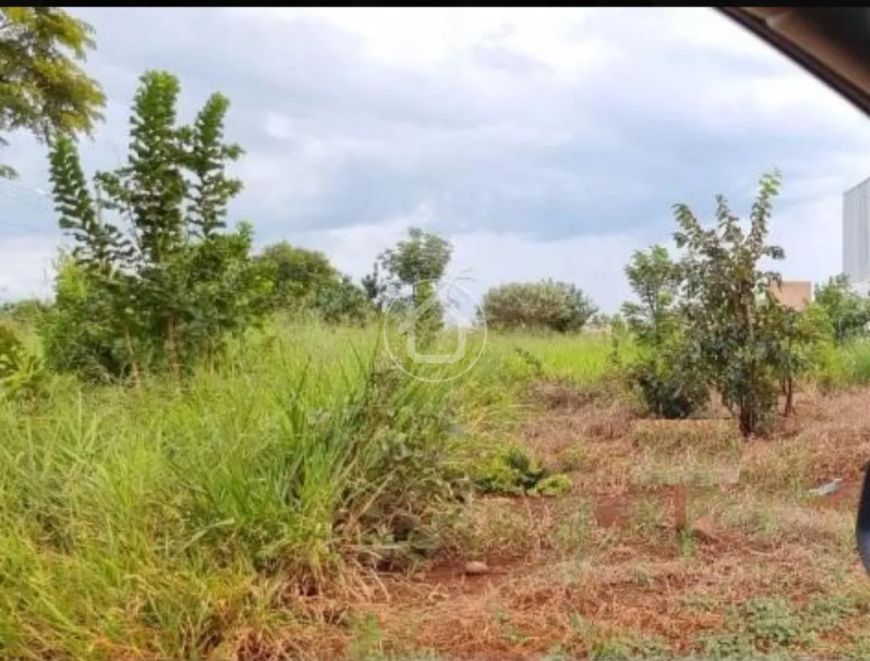 POSSIBIILIDADE DE VENDA DE 3 TERRENOS JUNTOS