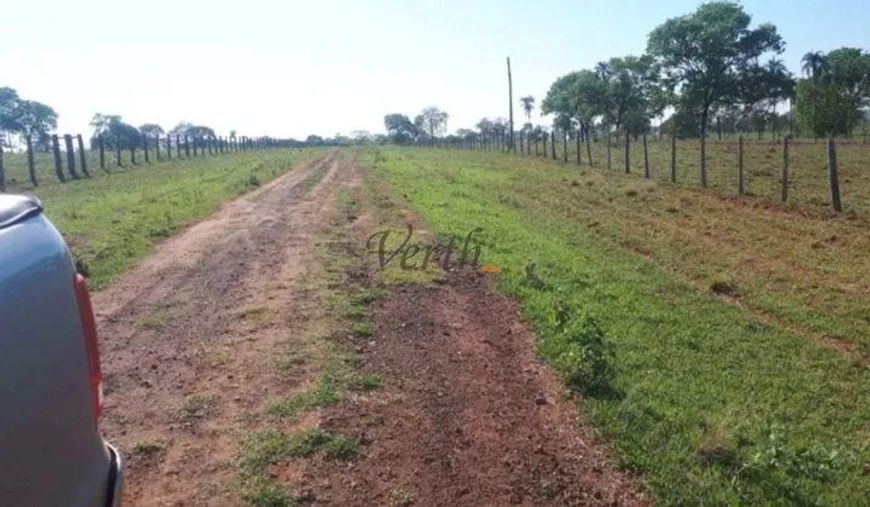 Fazenda à venda, 522 Hectares, muitos recursos Naturais, Campo Grande - MS