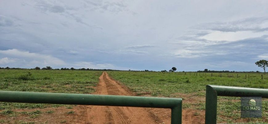 FAZENDA 185 HECTARES, PECUÁRIA EM CAMPO GRANDE/MS - PRODUTIVIDADE IMEDIATA COM INFRAES...