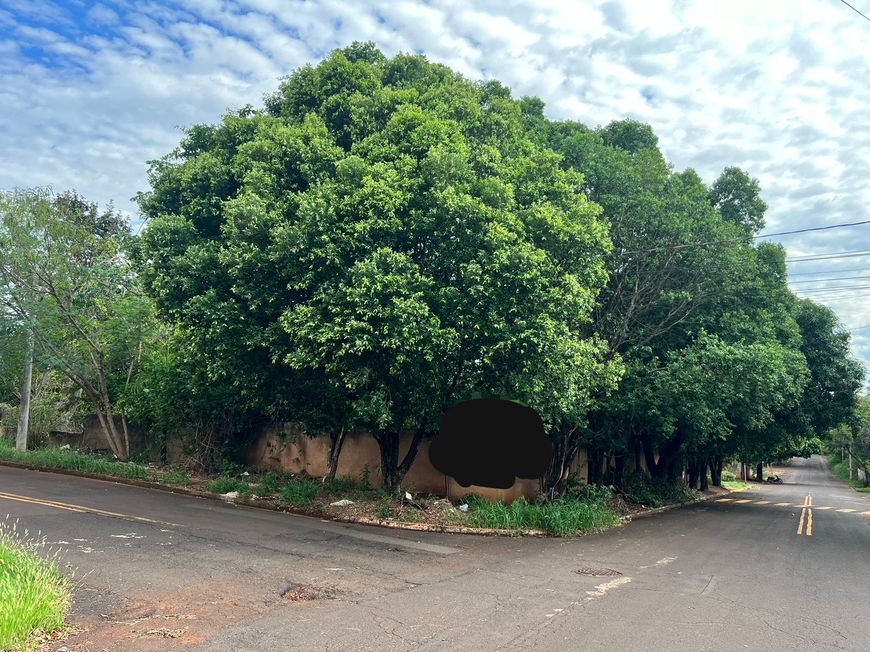 Terrenos para construtores