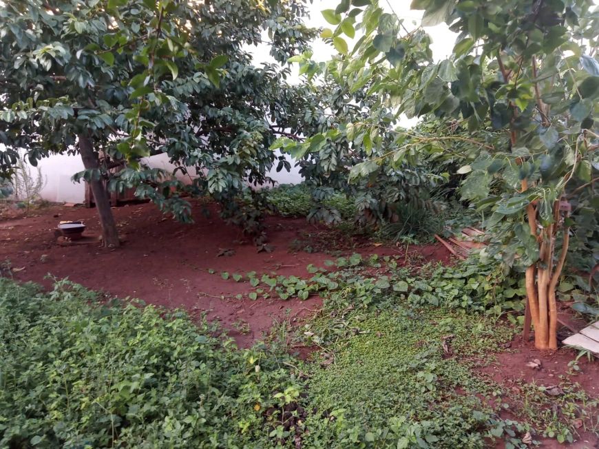 Casa Térrea/ Coronel Antonino - Campo Grande - MS