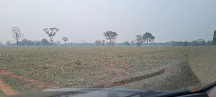 Linda Fazenda de 340 Ha em Aquidauana/MS: Totalmente Formada, Infraestrutura Completa, Terra de 1º.a