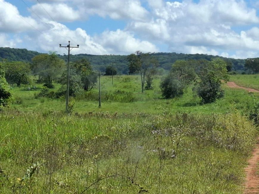 "Fazenda de 650 Hectares à Beira do Rio em 2 Irmãos/MS: Estrutura Completa e Rica em Água."