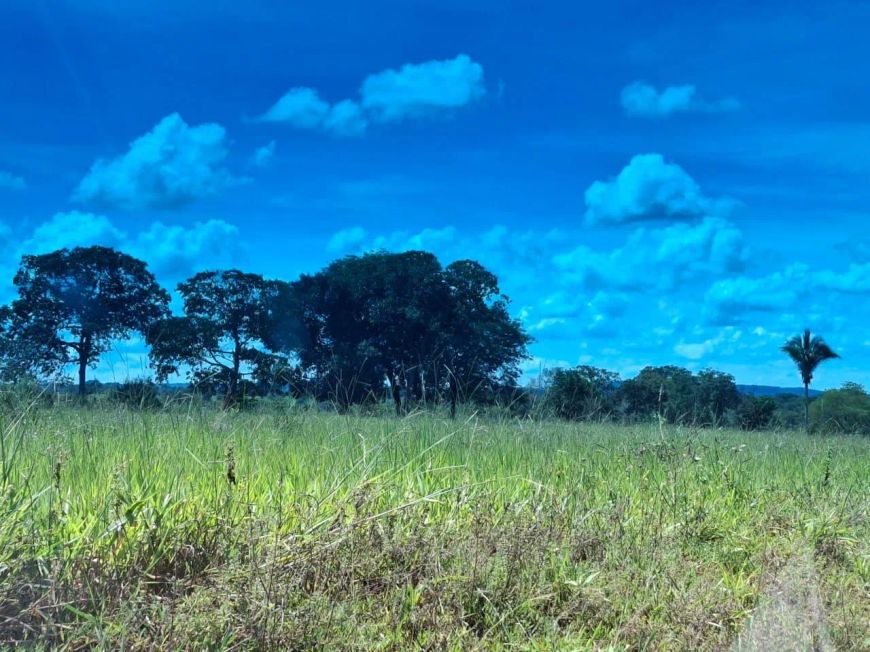 "Fazenda de 650 Hectares à Beira do Rio em 2 Irmãos/MS: Estrutura Completa e Rica em Água."