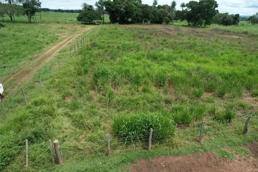 COD422- Chácara à venda – 52 hectares | Rio Verde - MS