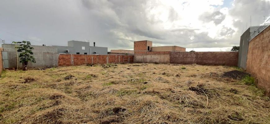 Campo Grande - Terreno Padrão - Vila Nasser