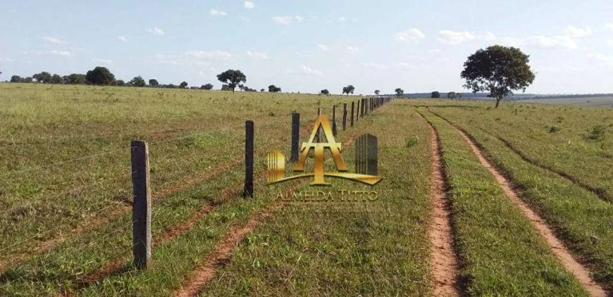 Fazenda na Pecuária à venda - Zona Rural - Campo Grande/MS