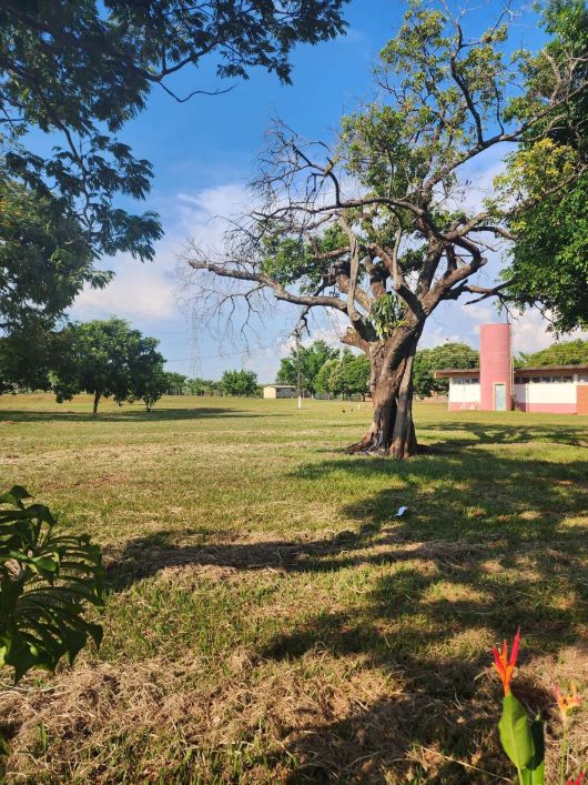 Área Comercial em Vila Popular, Campo Grande/MS