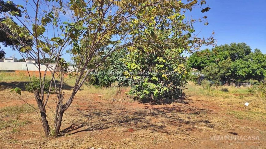 VENDO TERRENO DE 360 M² NO JD. MANSOUR