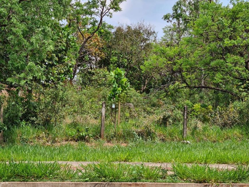 TERRENO NA VILA NASCENTE