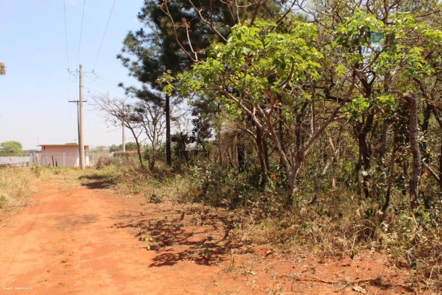 Chácara para Venda em Brasília, Zona de Dinamização (Santa Maria)