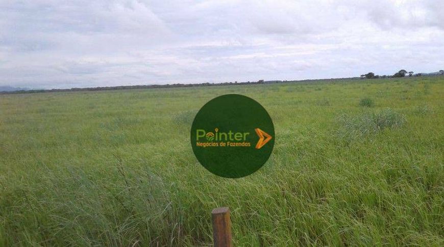 Fazenda à venda, 250000 m² por R$ 175.000.000,00 - Centro - Campo Grande/MS