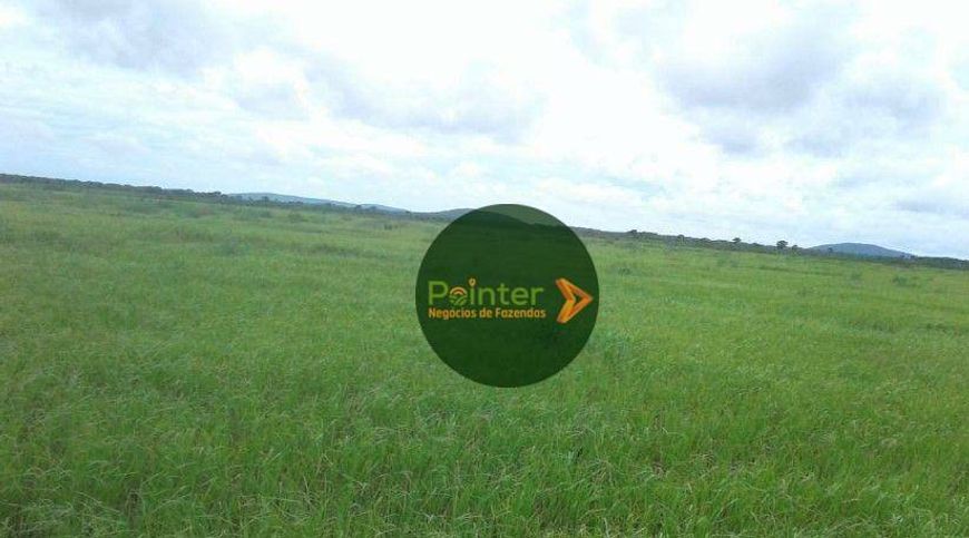 Fazenda à venda, 250000 m² por R$ 175.000.000,00 - Centro - Campo Grande/MS