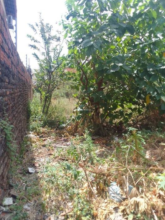 R. PIO IX - BAIRRO; SÃO PEDRO