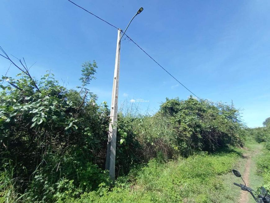 RUA PROJETADA - BAIRRO: BRASILAR