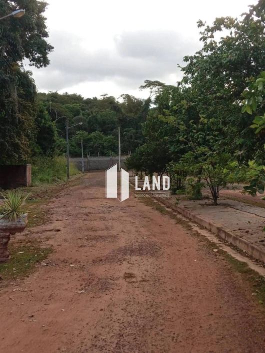 Lote no Fazenda Real