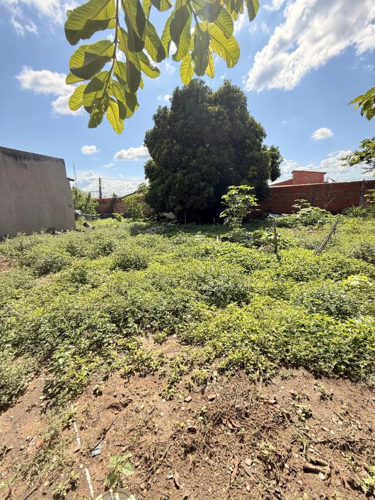 Terreno ao lado do shopping Dirceu 1225 metros quadrados em Beira Rio - Teresina - PI