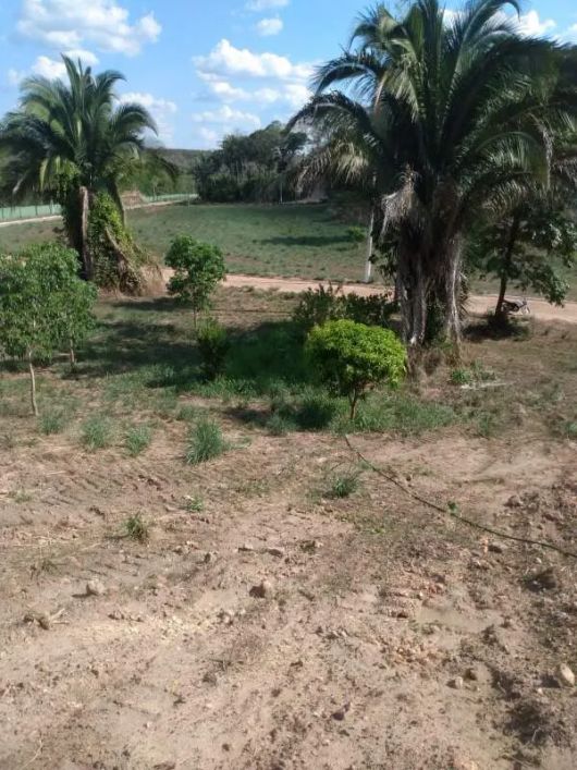 Lote à venda no Condomínio Quinta dos Palmares - Teresina/PI