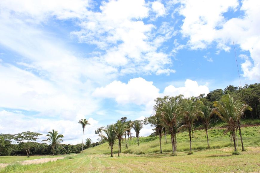 Lote/Terreno para venda possui 1000 metros quadrados em Novo Uruguai - Teresina - PI