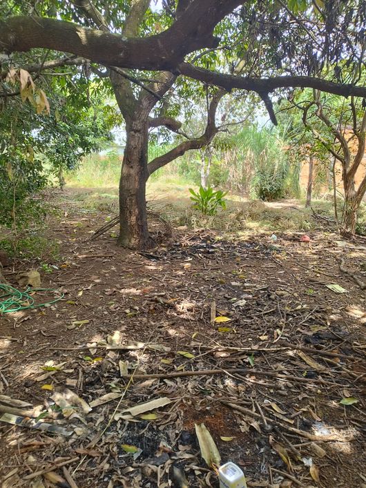 Lote de 1.200m² na Horta Comunitária / Próximo a Vila Buritis
