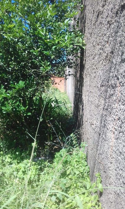 Terrenos a venda no bairro ininga