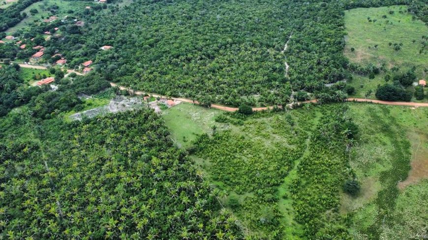 Terreno á venda em Teresina, com 20 hectares ideal para investir, loteamentos, sítios e chácaras!
