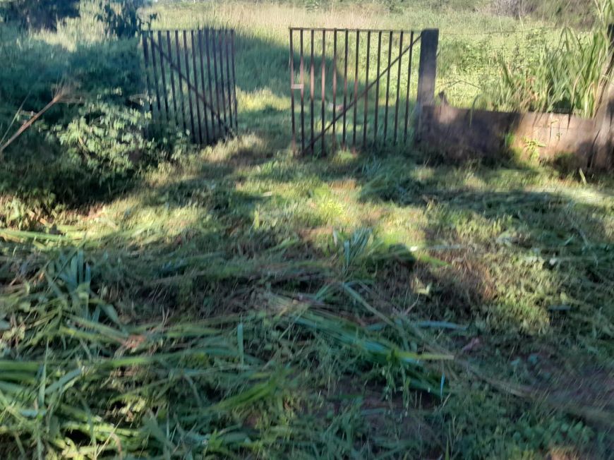 Imóvel para venda tem 1500 metros quadrados em Área Rural de Teresina - Teresina - PI