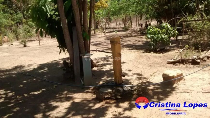 SITIO NO POVOADO SOINHO