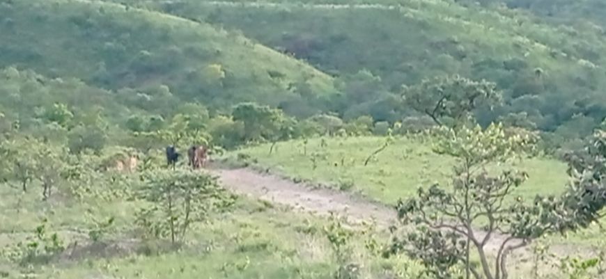 Fazenda Sol Nascente DF com GEO CAR próximo Ceilândia