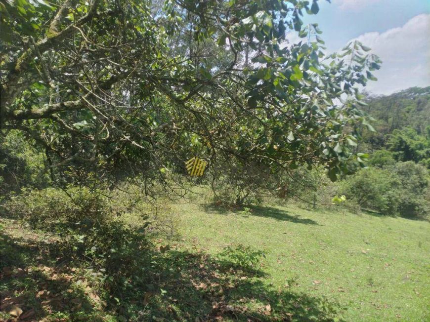 Coopertiva, venda, 48400 m² por R$ 35.000.000 - Cooperativa - São Bernardo do Campo/SP