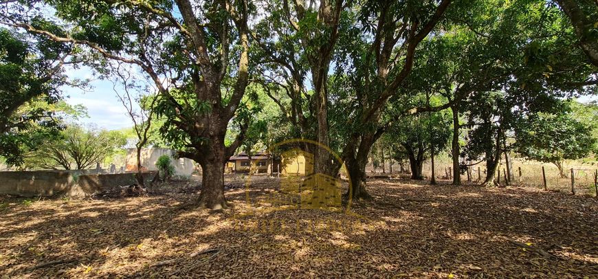 CHÁCARA COM 69.000m2 PLANA COM CORREGO NOS FUNDOS em Samambaia Norte - Brasília - Distrito Federal