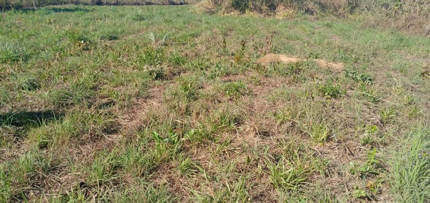 Lote/Terreno para venda em Brazlândia - Brasília - DF
