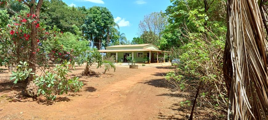 Sítio 14 Hectares DF 130 Paranoá !!! 1.400.000 !!!