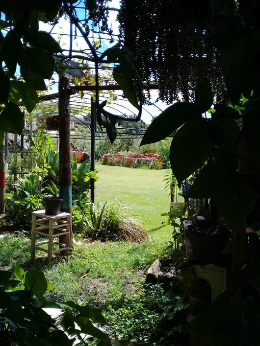 RFONTOURA,vende casinha linda, em Arniqueiras lote 1050 metros com muito verde