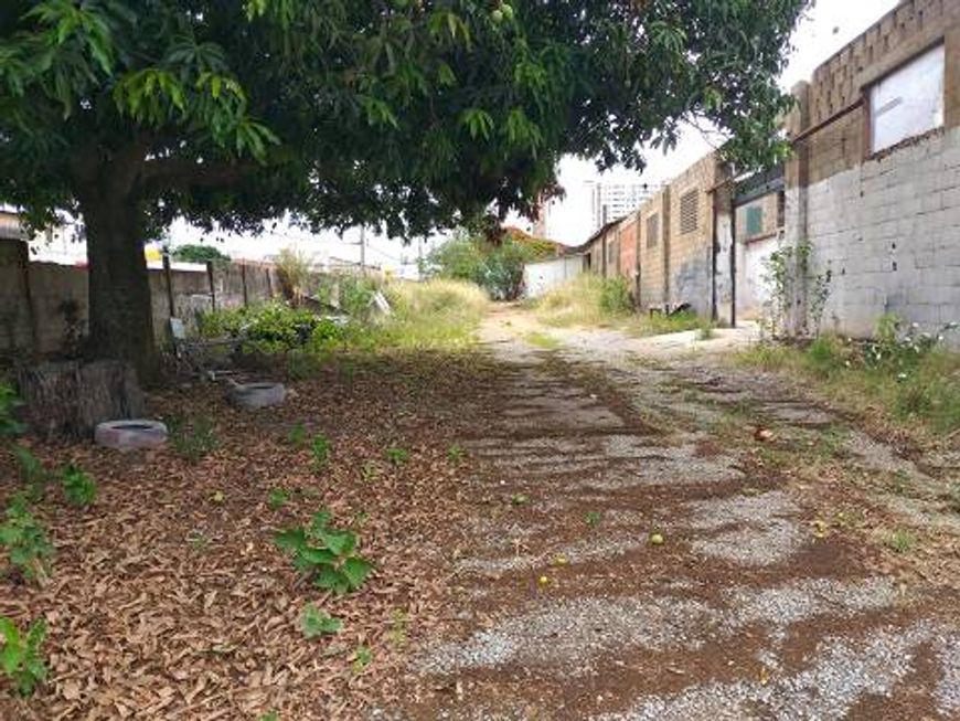 Lote/Terreno para venda possui 5600 metros quadrados em Setor Norte - Brasília - DF