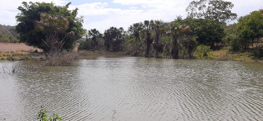 Fazenda Espetacular Planaltina-DF 115 Hectares !!! 4.500.000 !!!