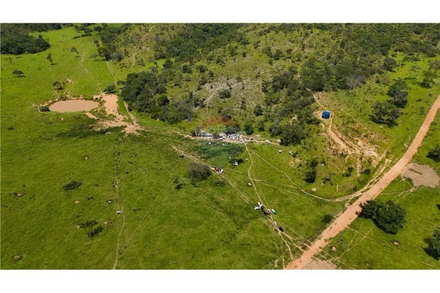 Fazenda a venda próximo a Brazlandia- Beira rodovia- área total 500 ha- pode ser fracionada