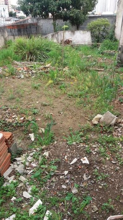 Terreno à venda, 405 m² por R$ 689.999,99 - Vila Curuçá - Santo André/SP