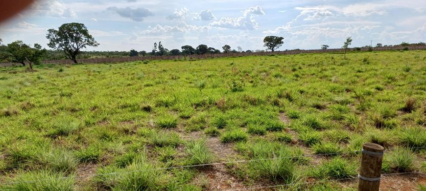 Vendo Chácara Escriturada DF 130 2.6 Hectares !!! 380.000 !!!