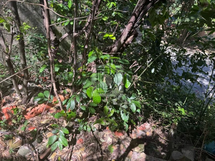 Terreno à venda com excelente localização no Morro do Querozene!