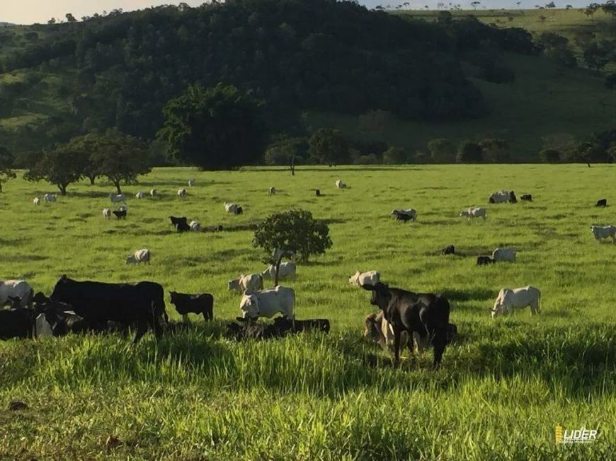 Fazenda à venda, Área rural de Brasilia - BRASILIA/DF